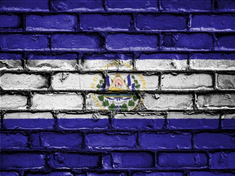 El Salvador: Voto por internet en el exterior